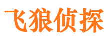 岳麓市侦探公司